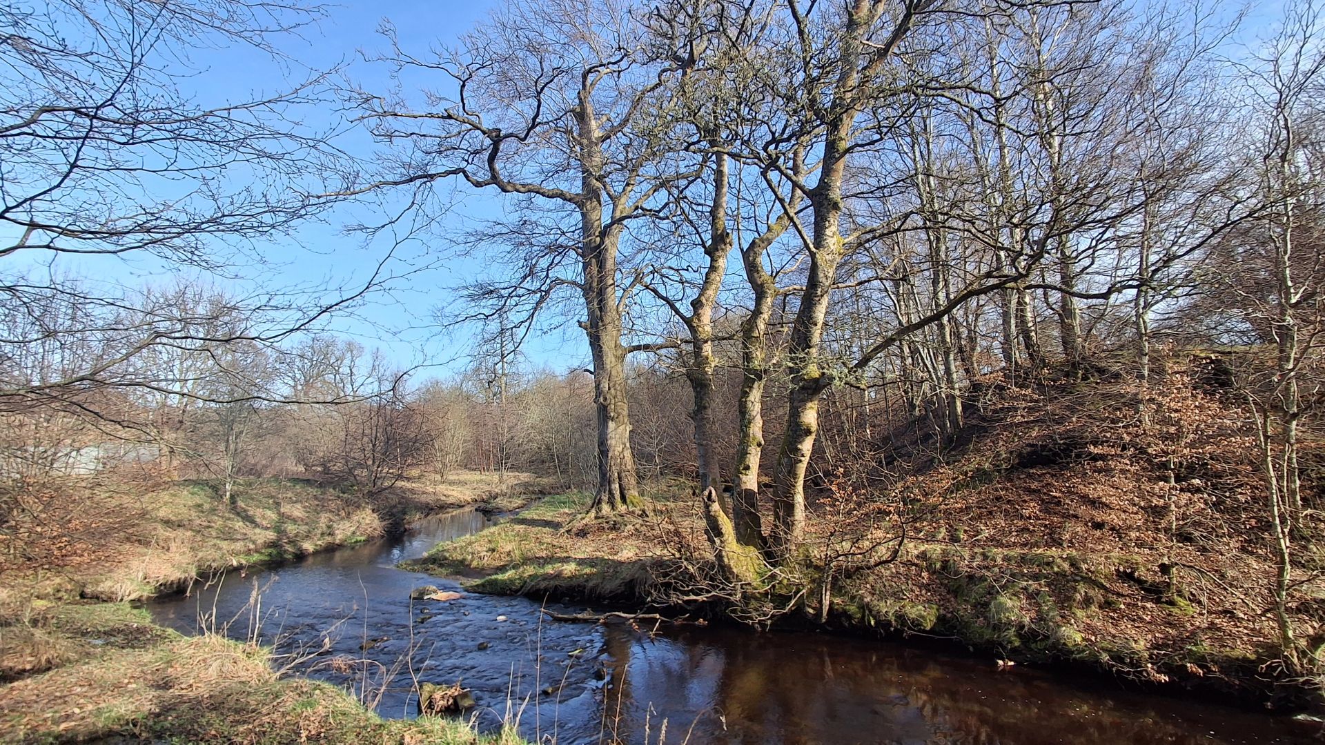 Harwood Water, Polbeth
